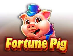 crazy time casino